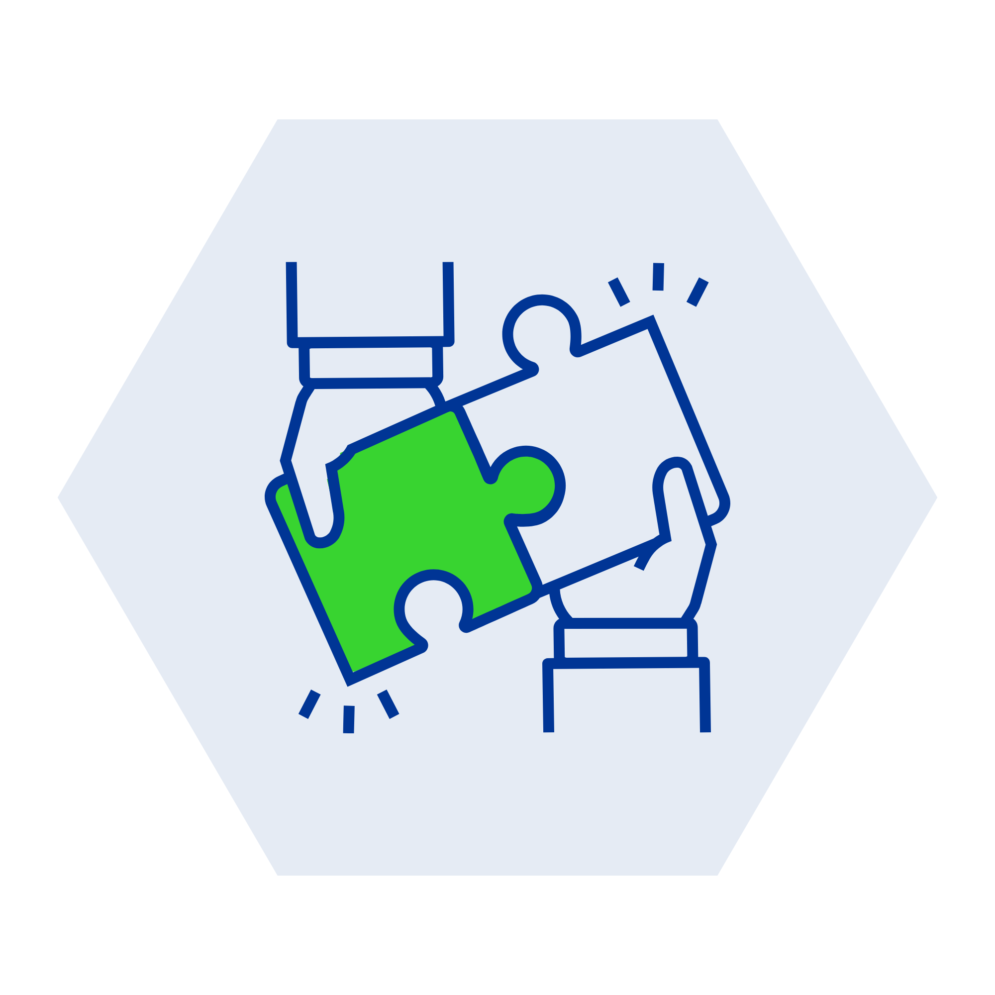 Icon 6